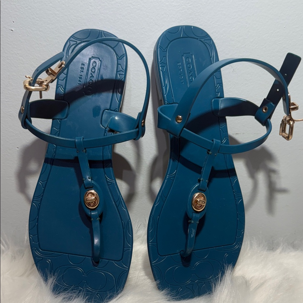 Coach Women's Blue Sandals with Gold Details